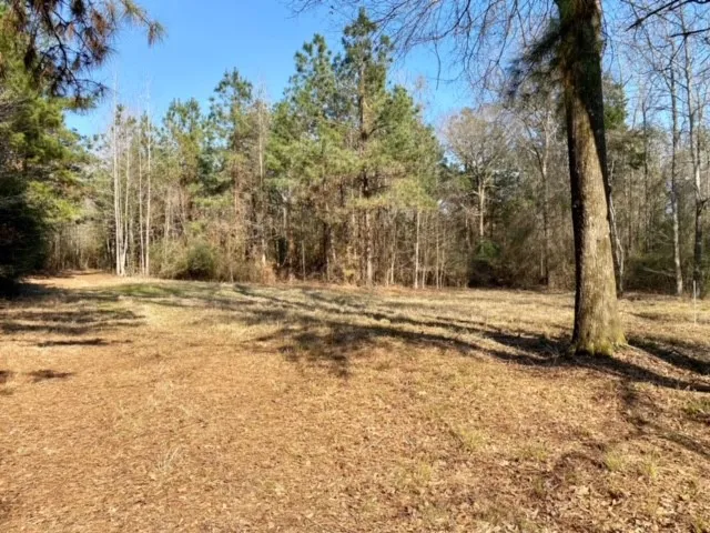 a view of a yard with wooden fence