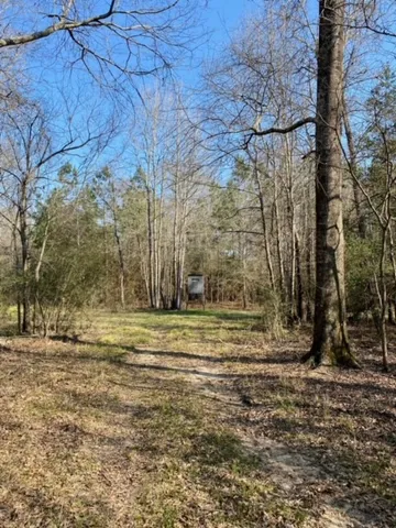 a view of a backyard with green space