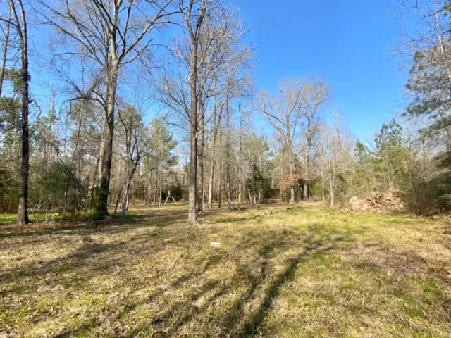 a view of dirt yard with trees