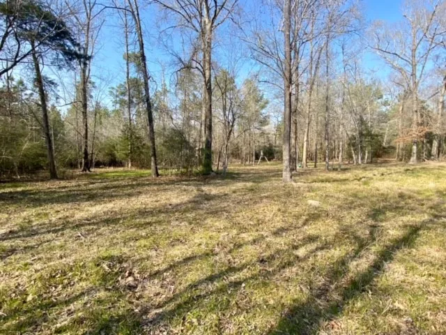 a view of outdoor space with trees