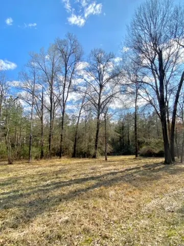 a large tree with large trees and wooden fence