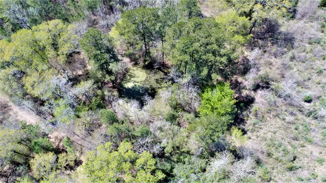 a plant view in yard