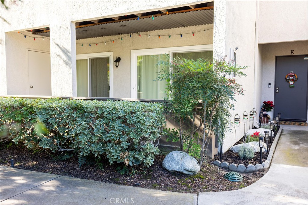 a view of a potted plants in front of a house