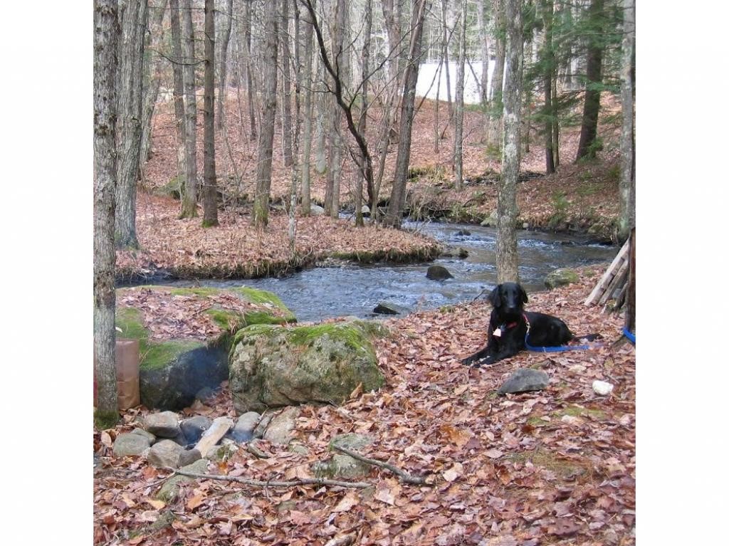 16 Clough Pond Road Canterbury, NH 03224 - Photo 1 of 18 Gallery Image 1