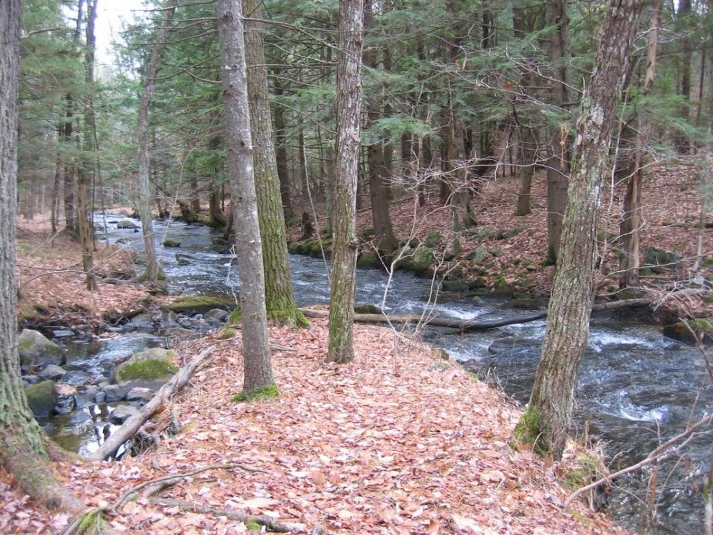 16 Clough Pond Road Canterbury, NH 03224 - Photo 2 of 18 Gallery Image 2