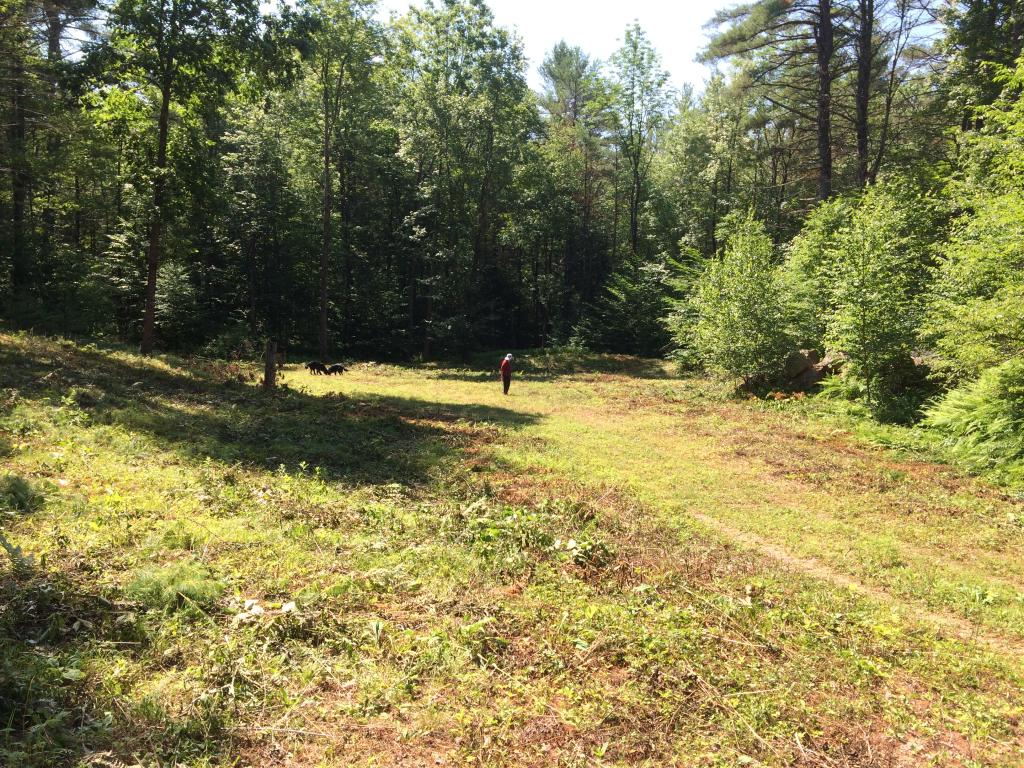 16 Clough Pond Road Canterbury, NH 03224 - Photo 3 of 18 Gallery Image 3