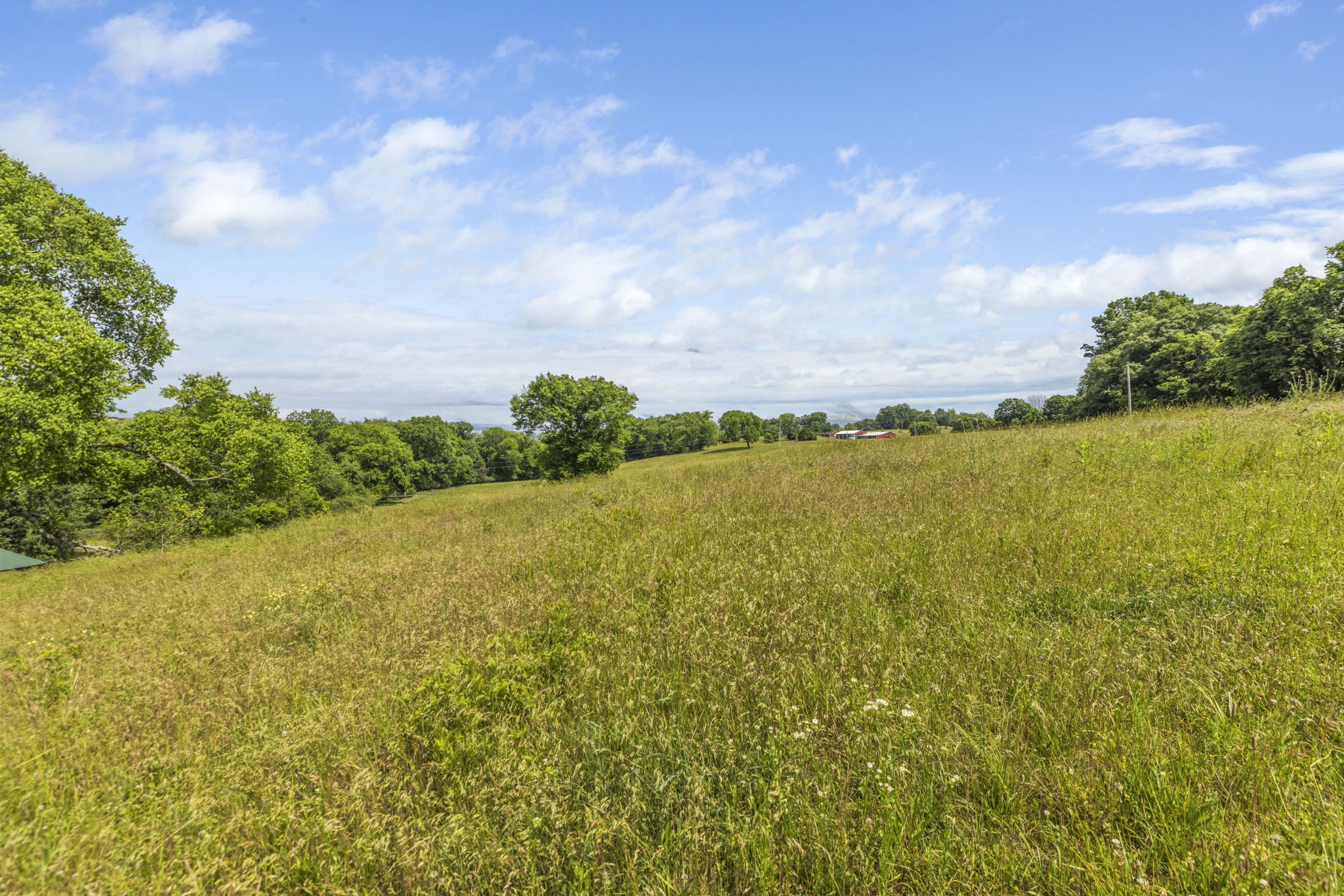 0 Darks Mill Road Columbia, TN 38401 - Photo 22 of 32
