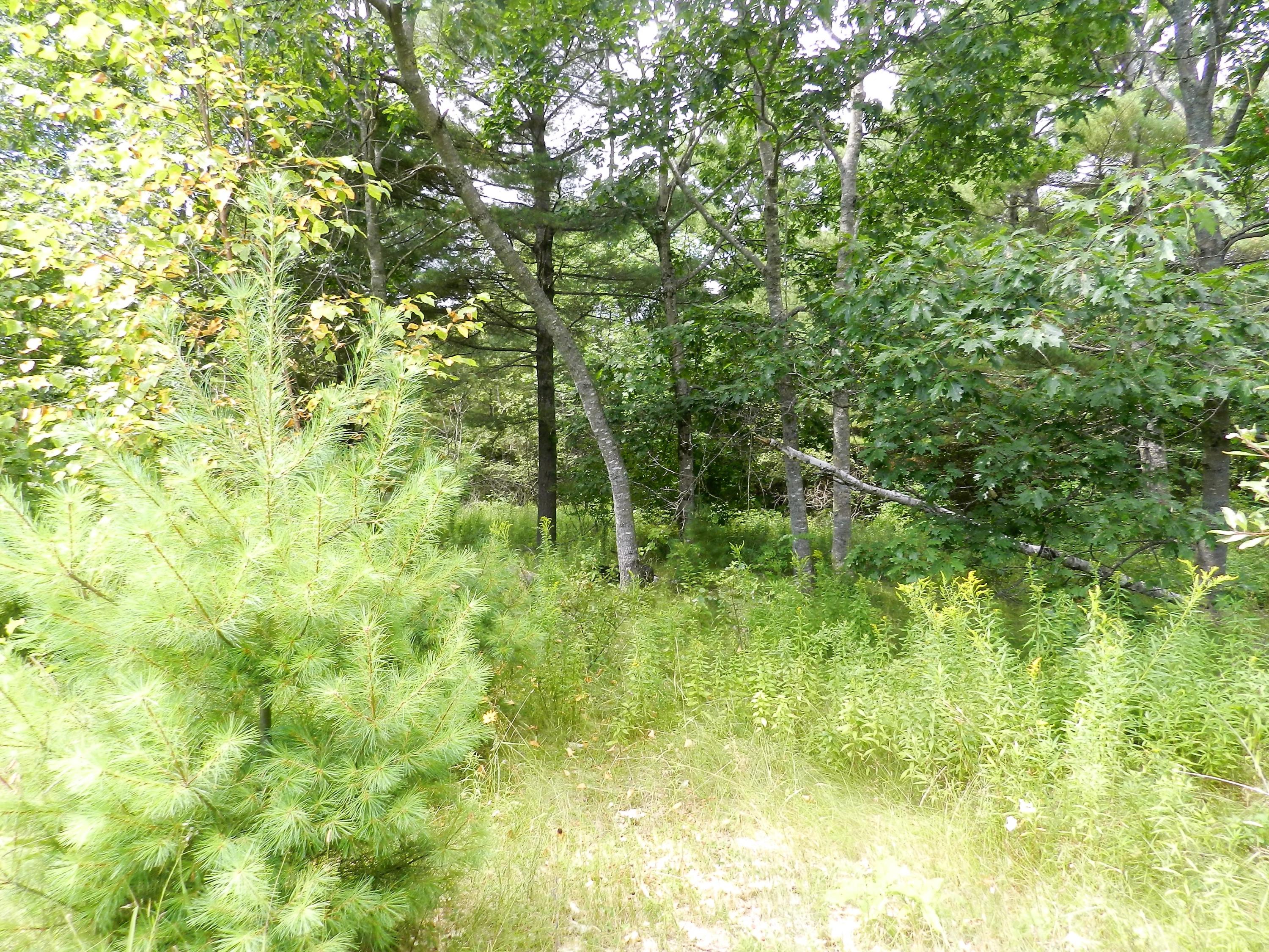 579 West Etna Road Etna, ME 04434 - Photo 8 of 10 8