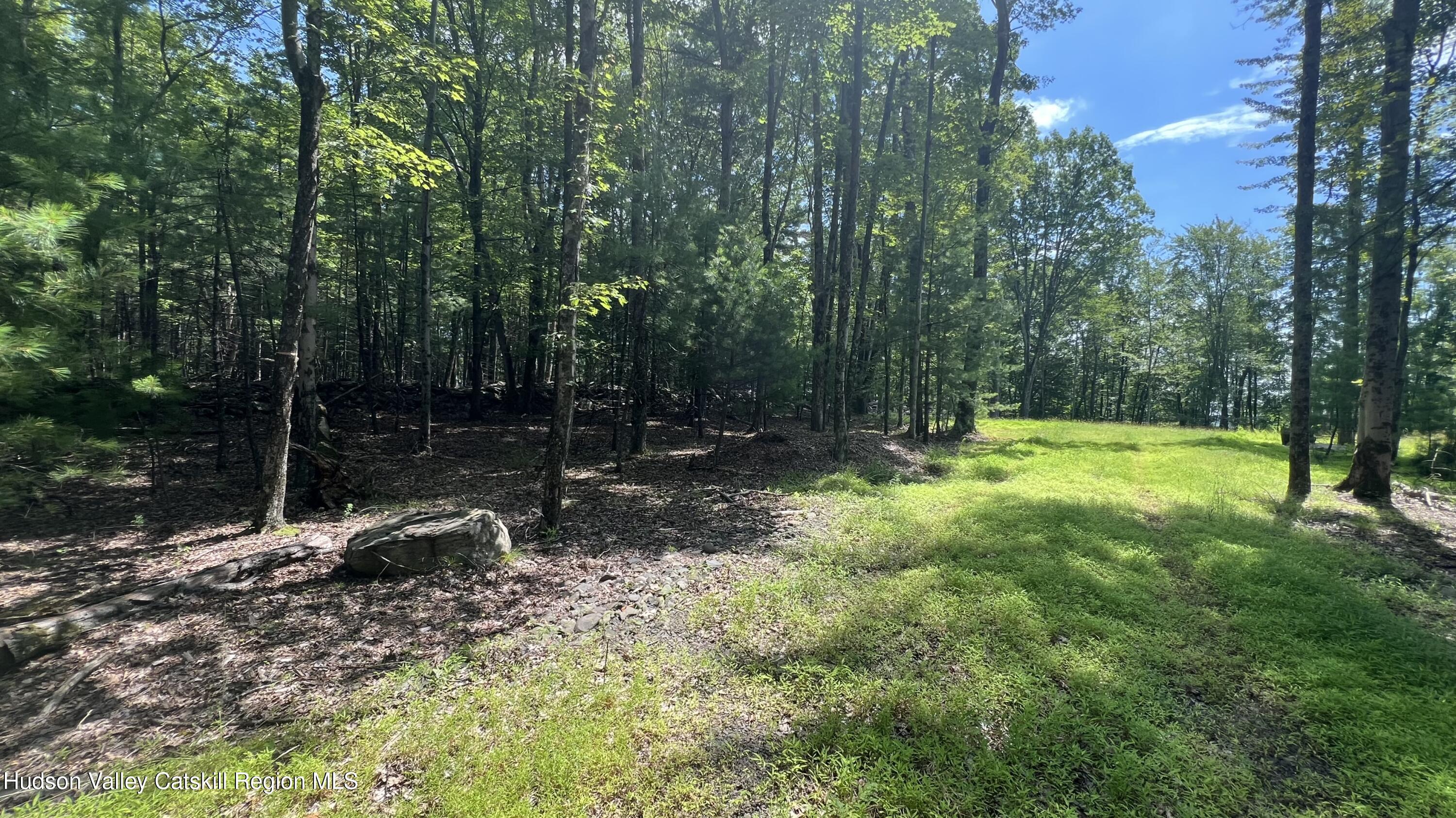 a view of outdoor space with trees all around