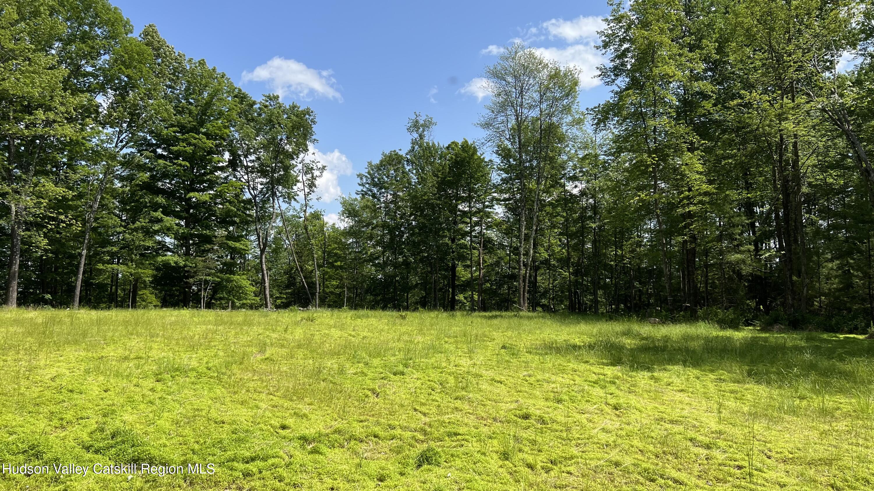 10 Rockaway Road Accord, NY 12404 - Photo 11 of 33 a view of a pool with a big yard