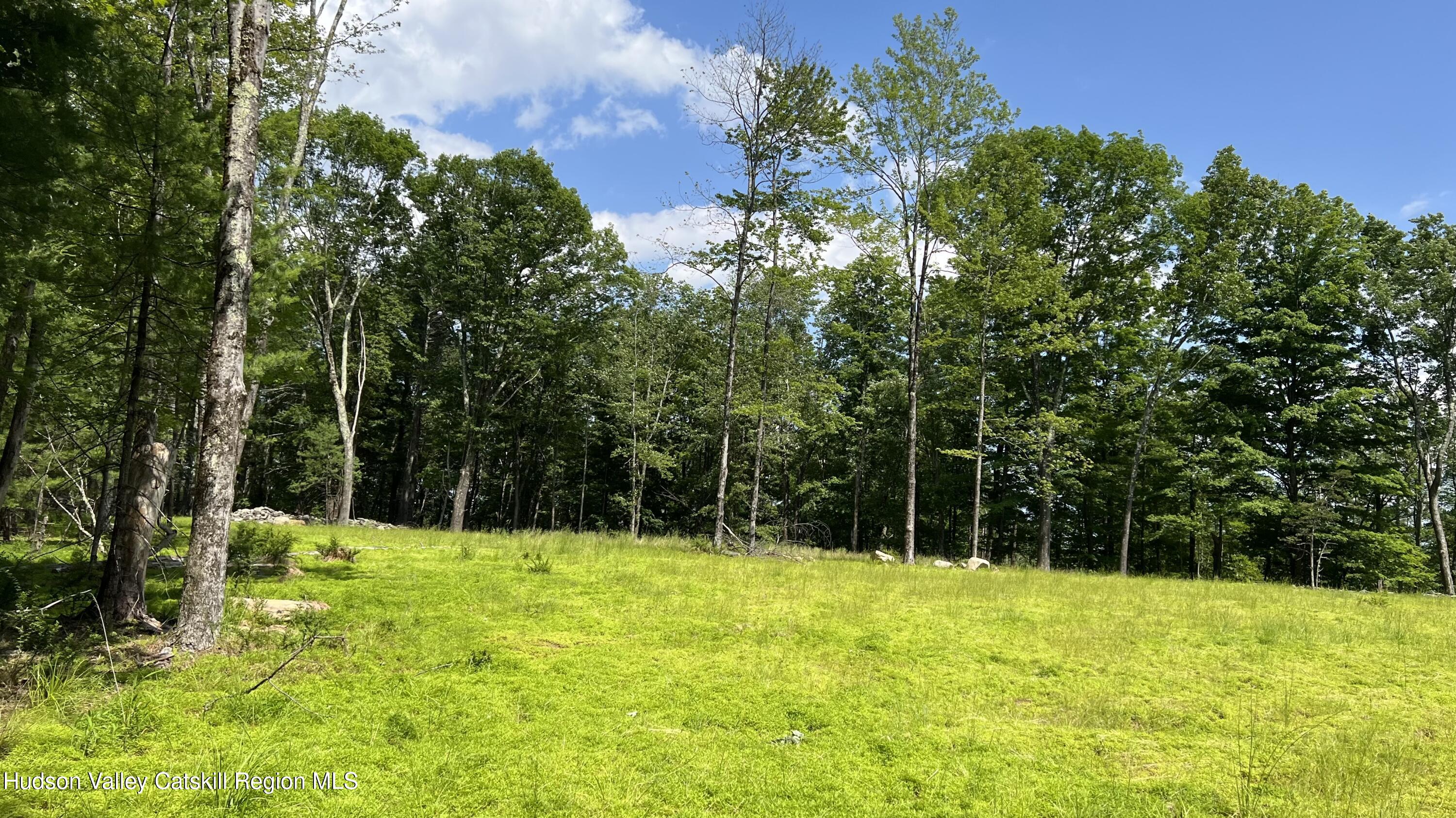 10 Rockaway Road Accord, NY 12404 - Photo 12 of 33 a view of yard with green space and trees