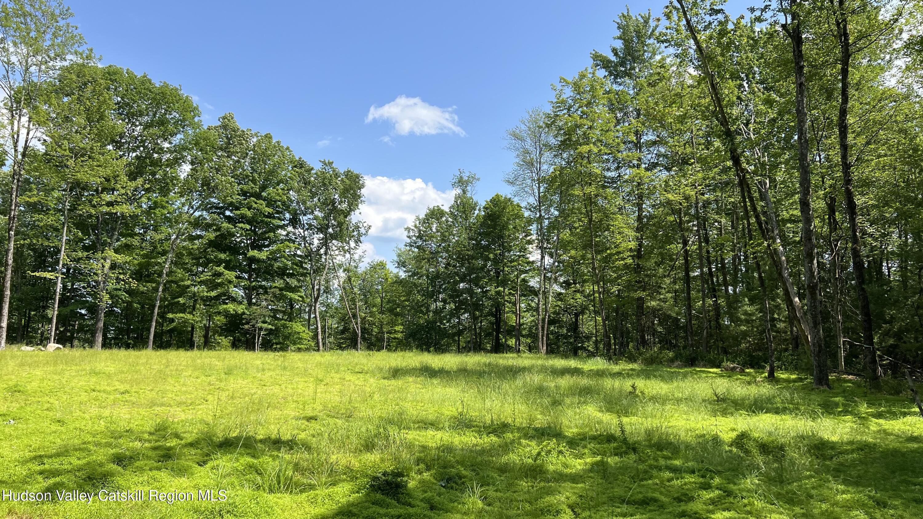 10 Rockaway Road Accord, NY 12404 - Photo 13 of 33 a view of swimming pool from a yard