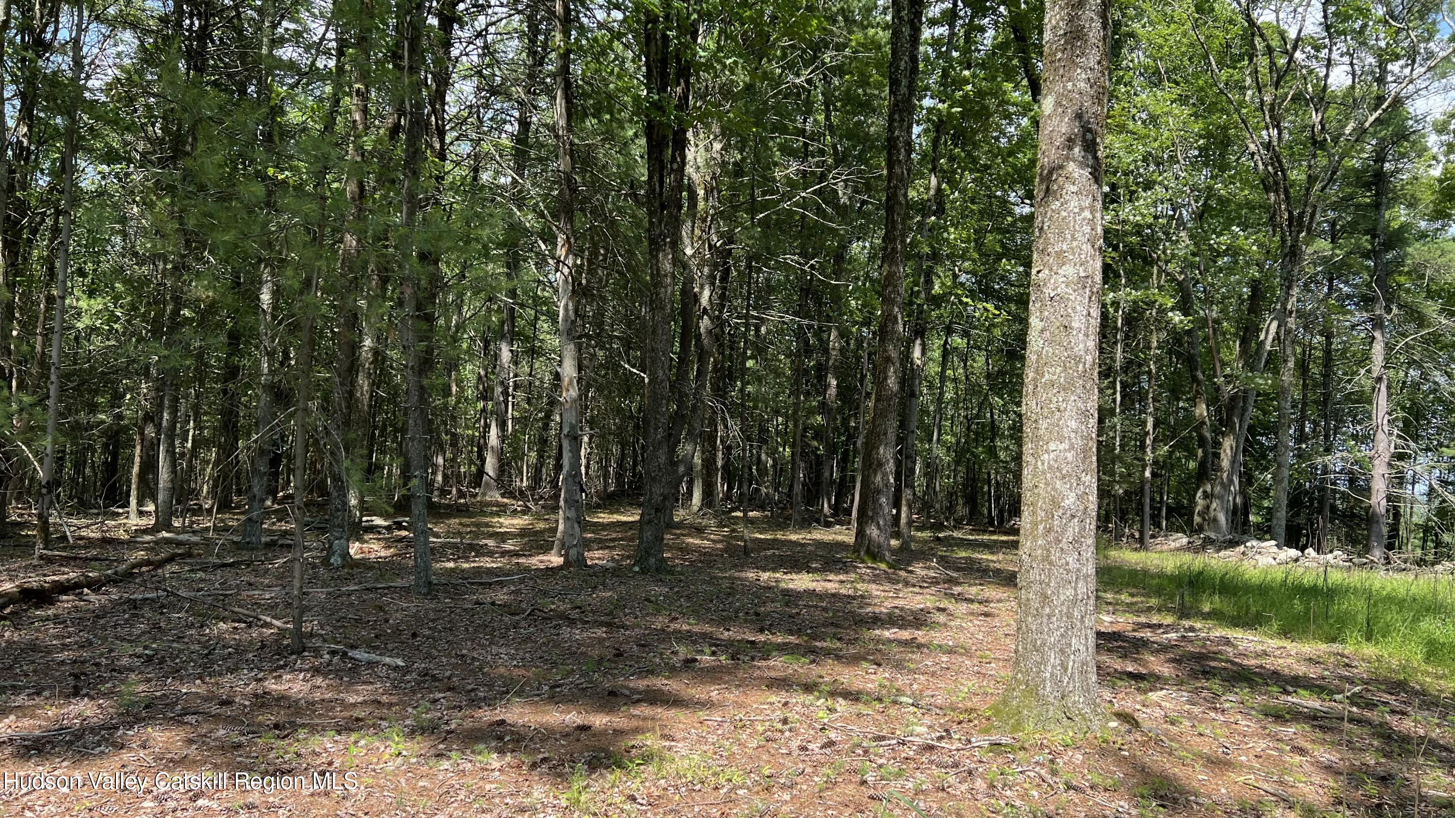 10 Rockaway Road Accord, NY 12404 - Photo 15 of 33 a view of outdoor space with deck and yard