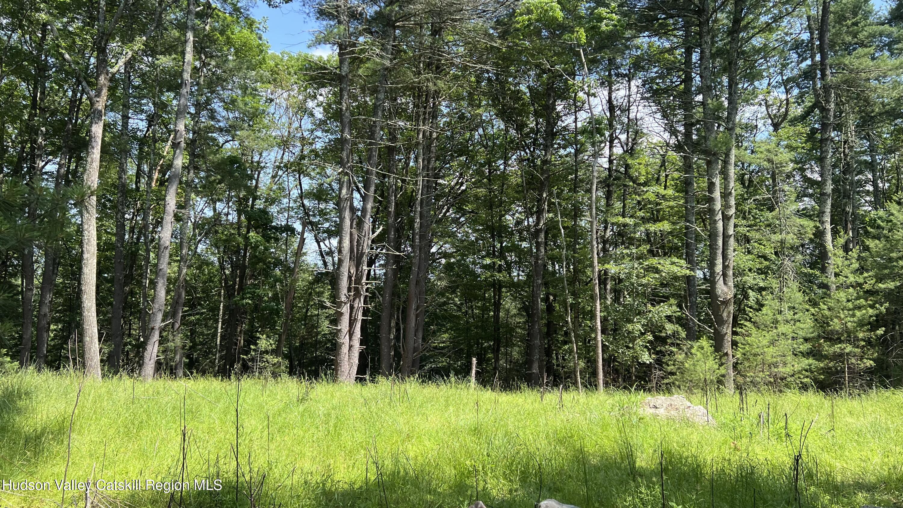 10 Rockaway Road Accord, NY 12404 - Photo 17 of 33 a view of a lush green forest