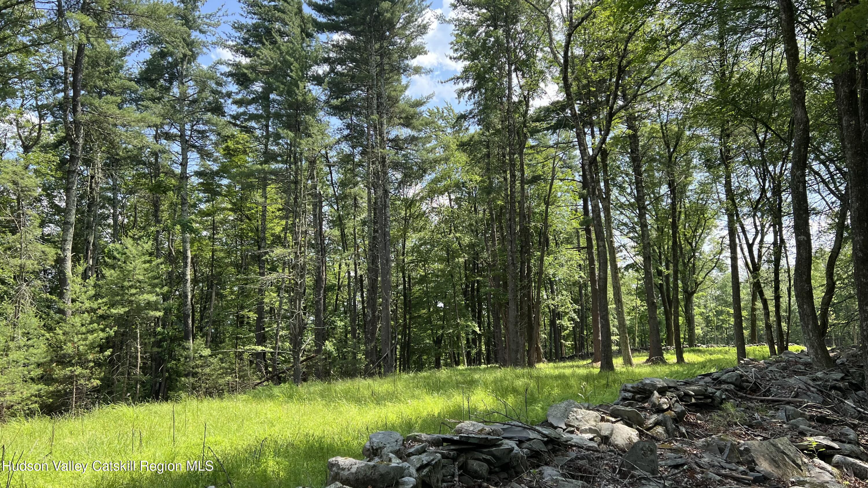 10 Rockaway Road Accord, NY 12404 - Photo 18 of 33 a view of a large yard with large trees