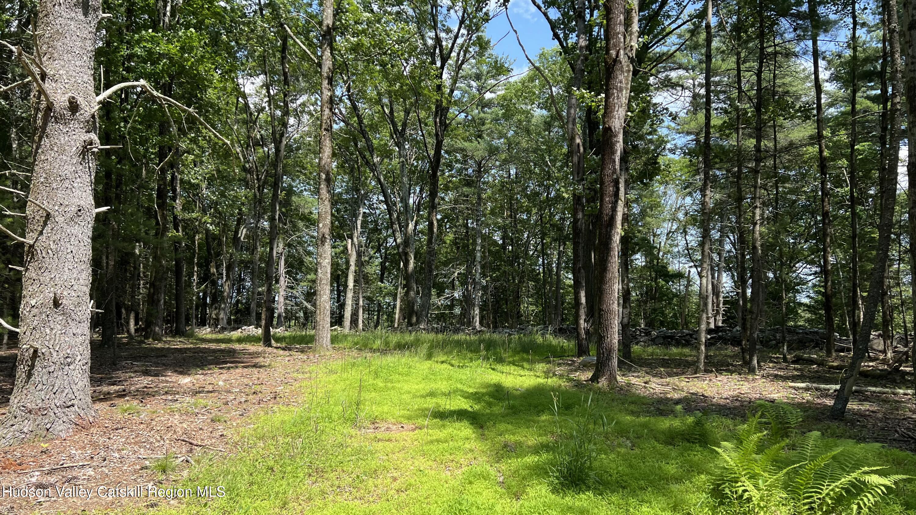 10 Rockaway Road Accord, NY 12404 - Photo 19 of 33 a backyard of a house with lots of green space