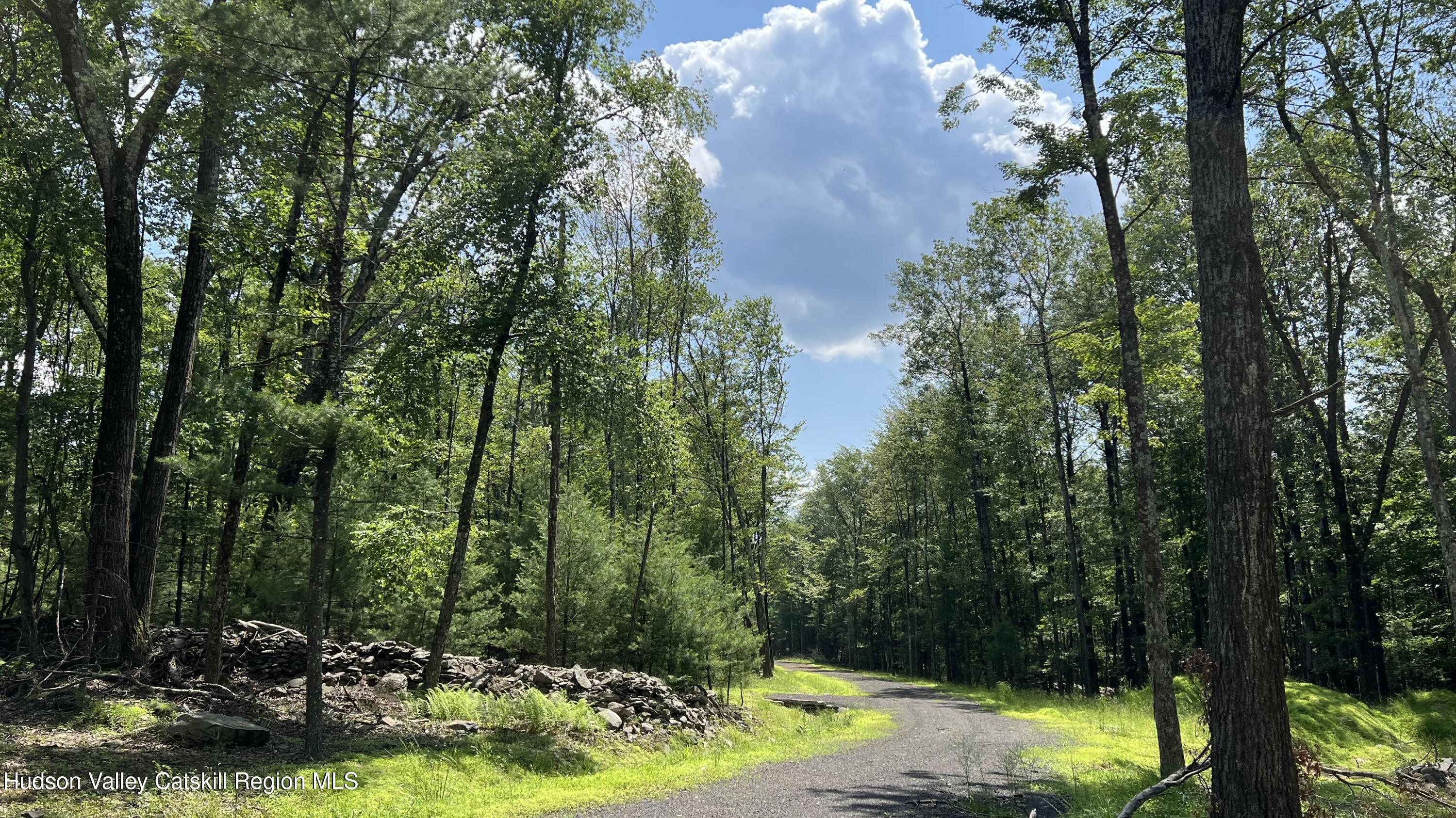 10 Rockaway Road Accord, NY 12404 - Photo 20 of 33 a view of a yard with large trees