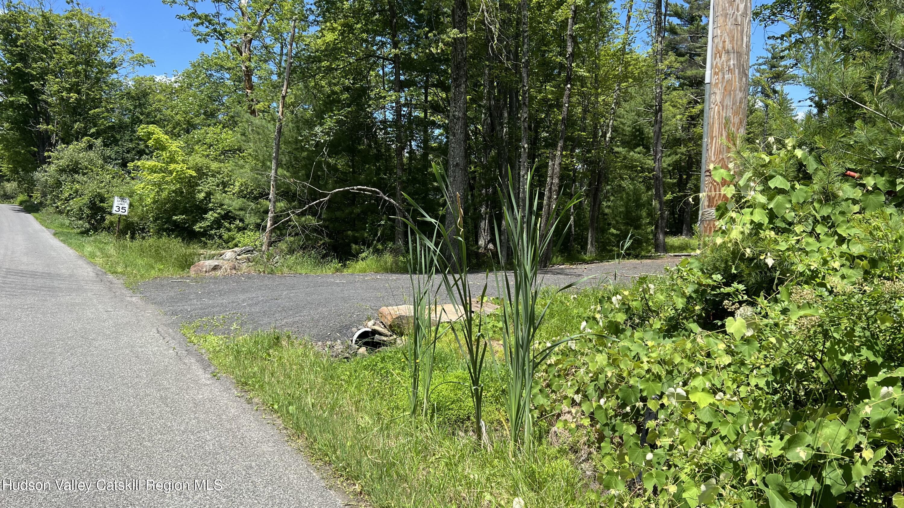 10 Rockaway Road Accord, NY 12404 - Photo 2 of 33 a view of a yard with plants and large trees