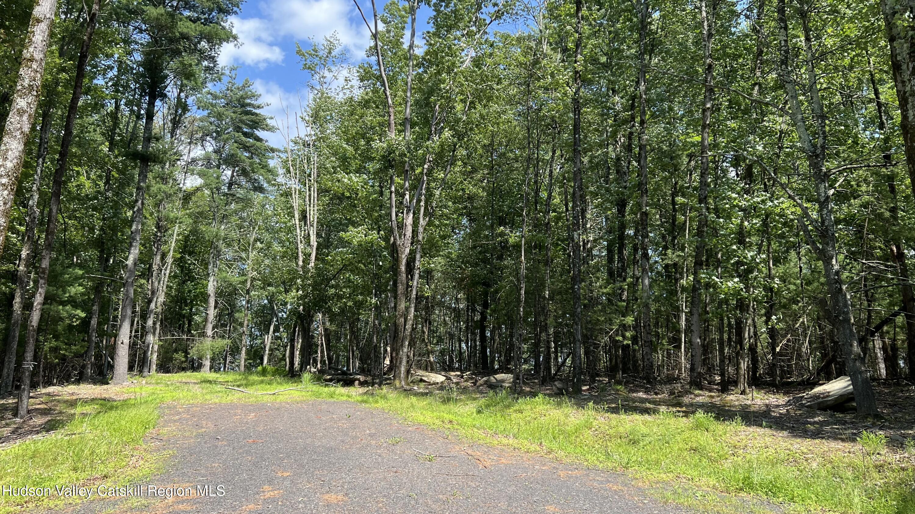 10 Rockaway Road Accord, NY 12404 - Photo 21 of 33 a view of a park with large trees