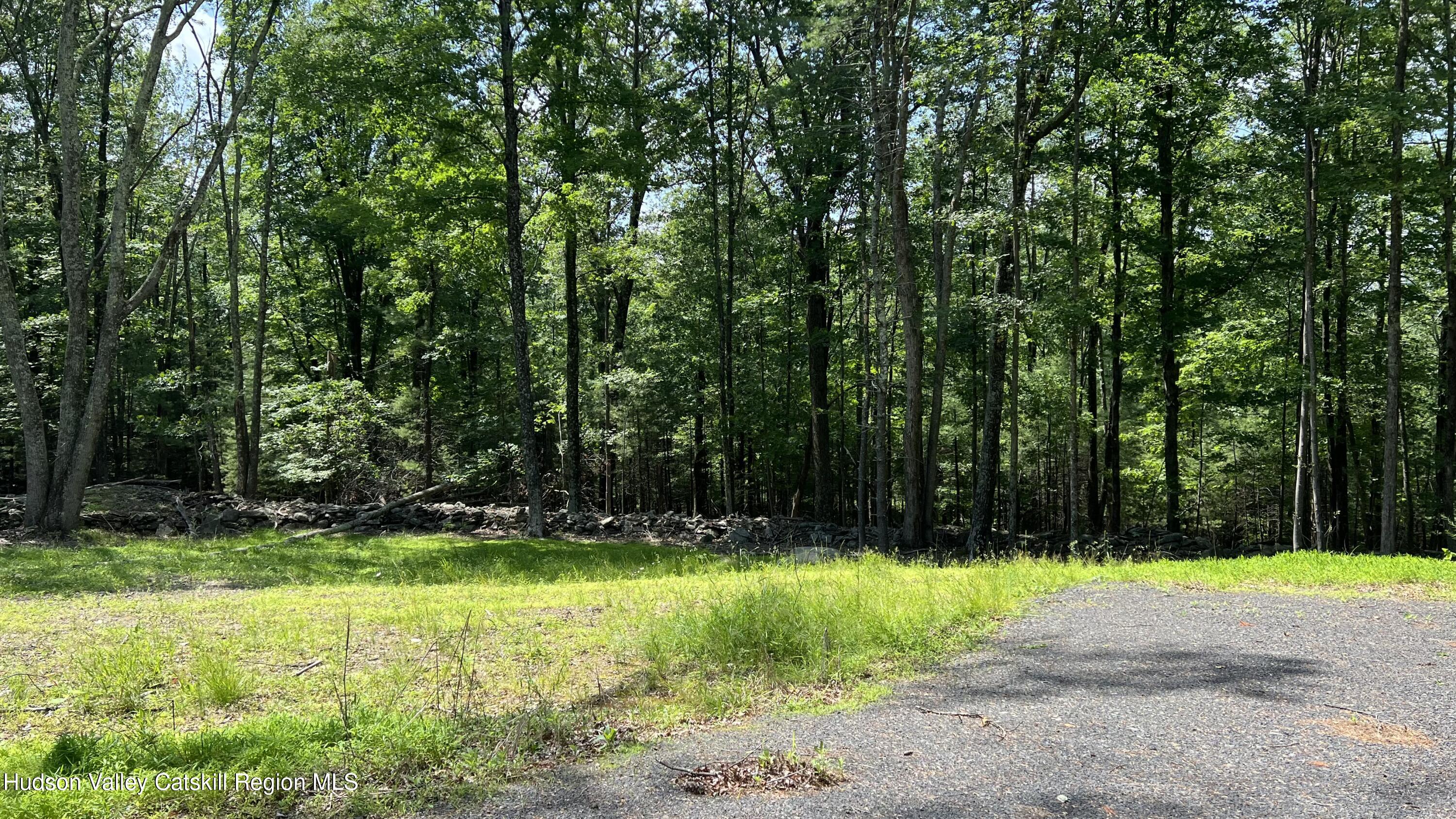 10 Rockaway Road Accord, NY 12404 - Photo 22 of 33 a view of backyard with swimming pool and outdoor seating
