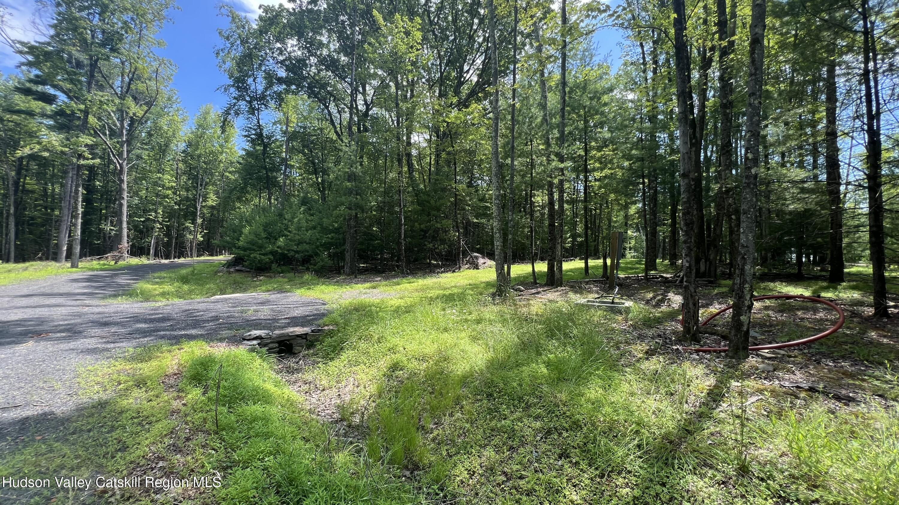 10 Rockaway Road Accord, NY 12404 - Photo 24 of 33 a view of outdoor space with green space