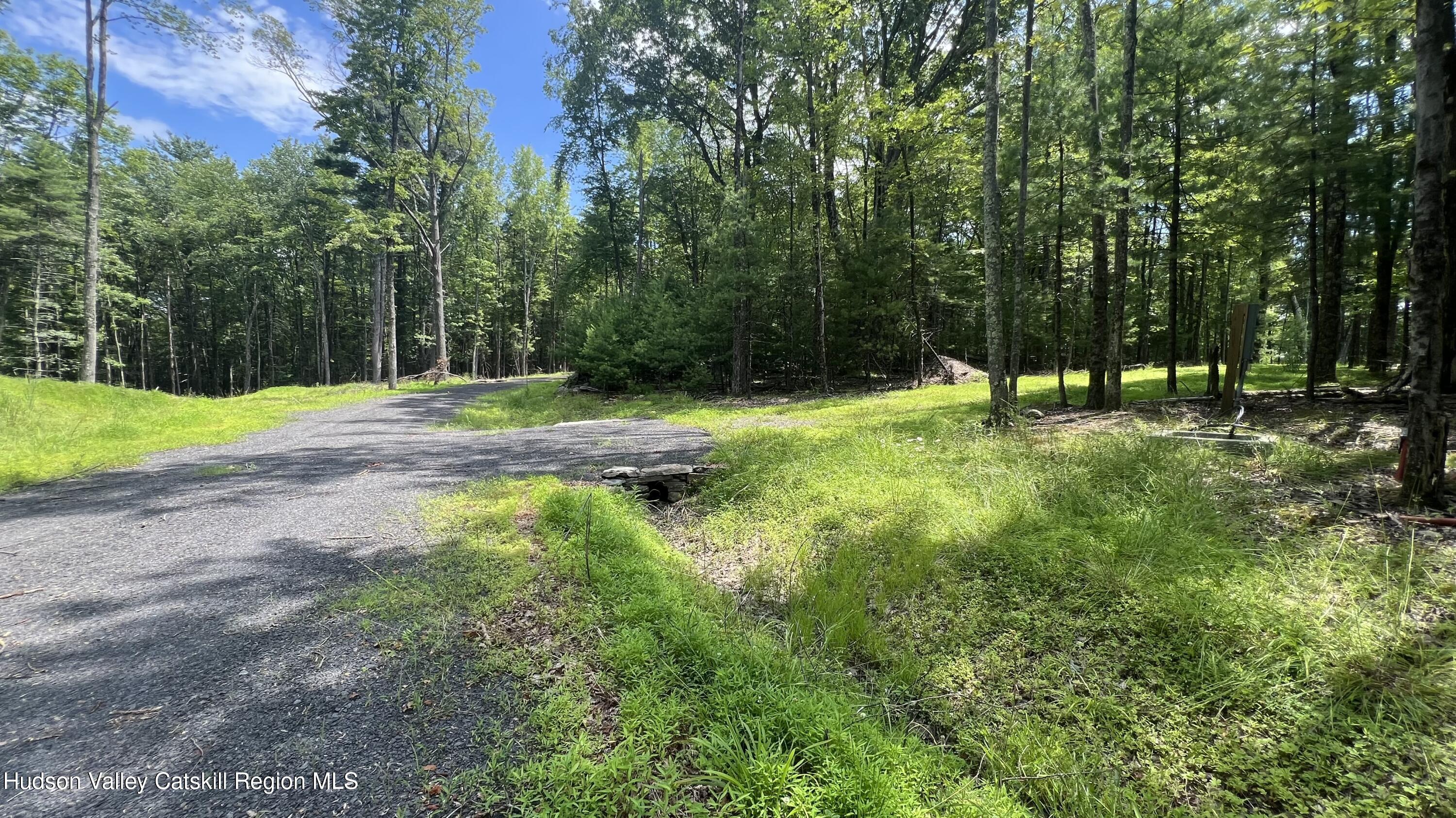 10 Rockaway Road Accord, NY 12404 - Photo 27 of 33 a view of a park with large trees