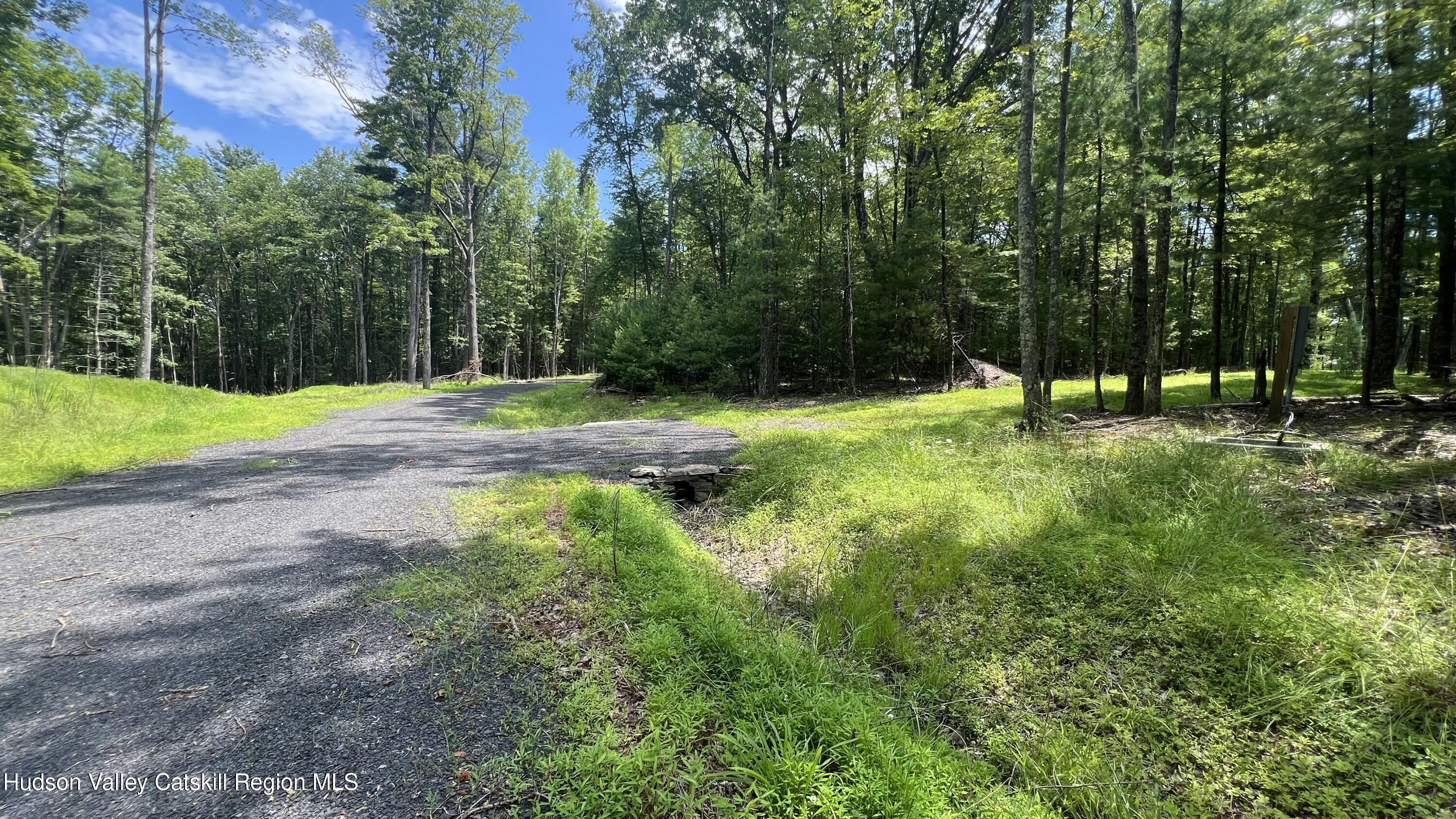 10 Rockaway Road Accord, NY 12404 - Photo 29 of 33 a big yard with lots of green space and trees