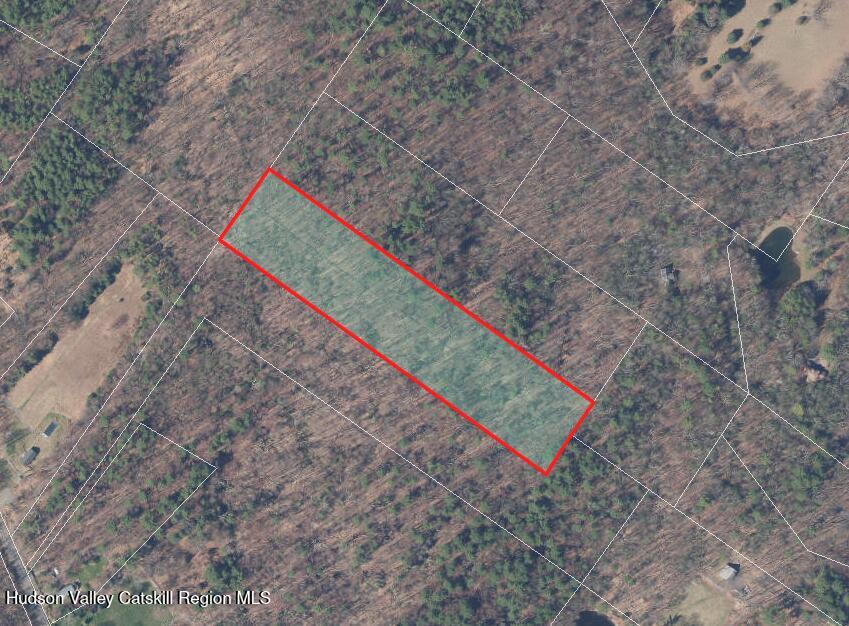 10 Rockaway Road Accord, NY 12404 - Photo 32 of 33 a view of a book with a yard