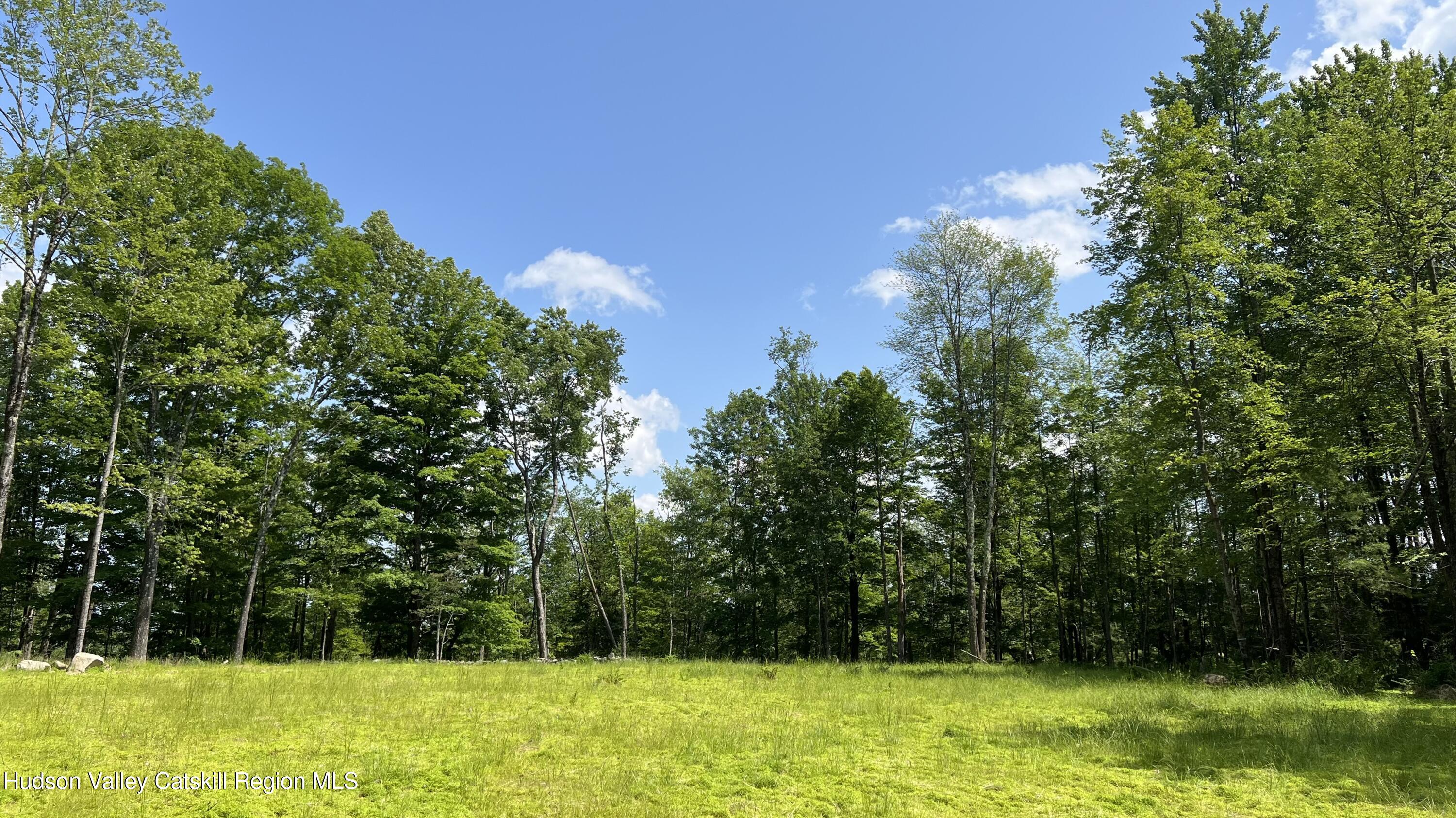 10 Rockaway Road Accord, NY 12404 - Photo 10 of 33 a view of a yard