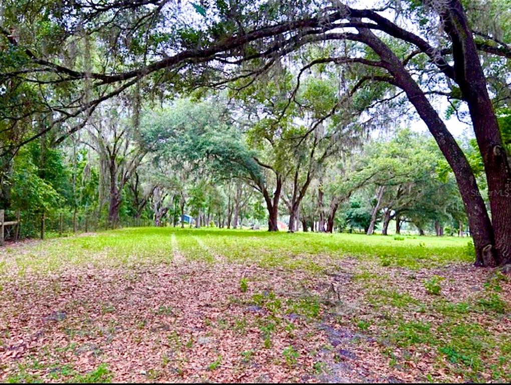 528 Ashley Lane Center Hill, FL 33514 - Photo 16 of 18