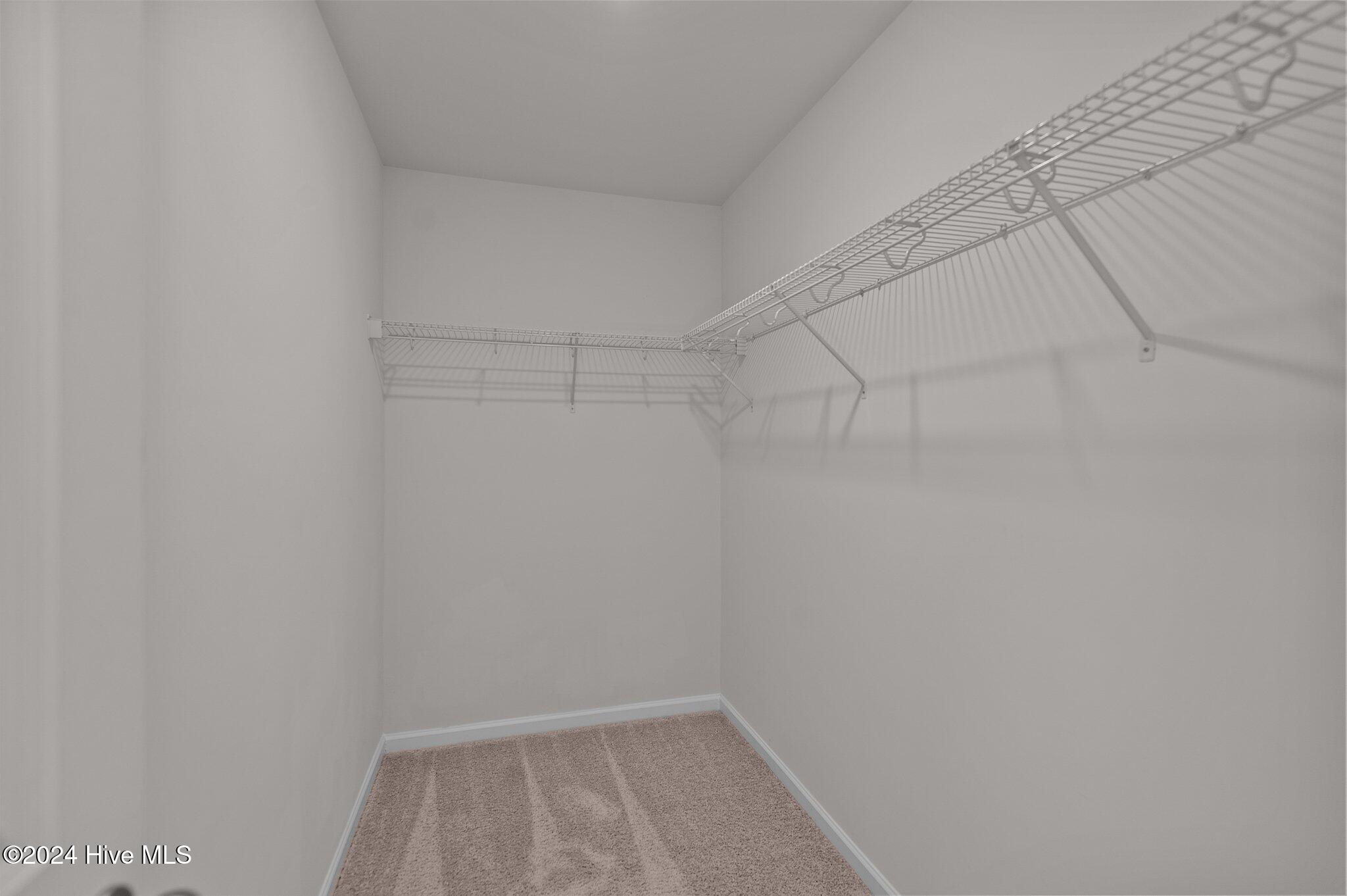 7658 Sand Pit Road Stantonsburg, NC 27883 - Photo 27 of 53 walk-in closet