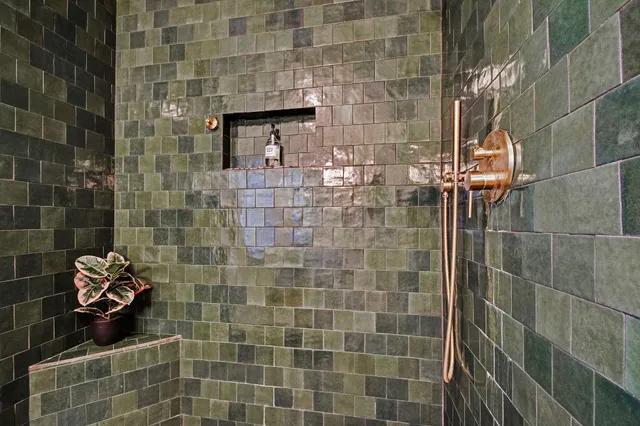 a bathroom with a shower