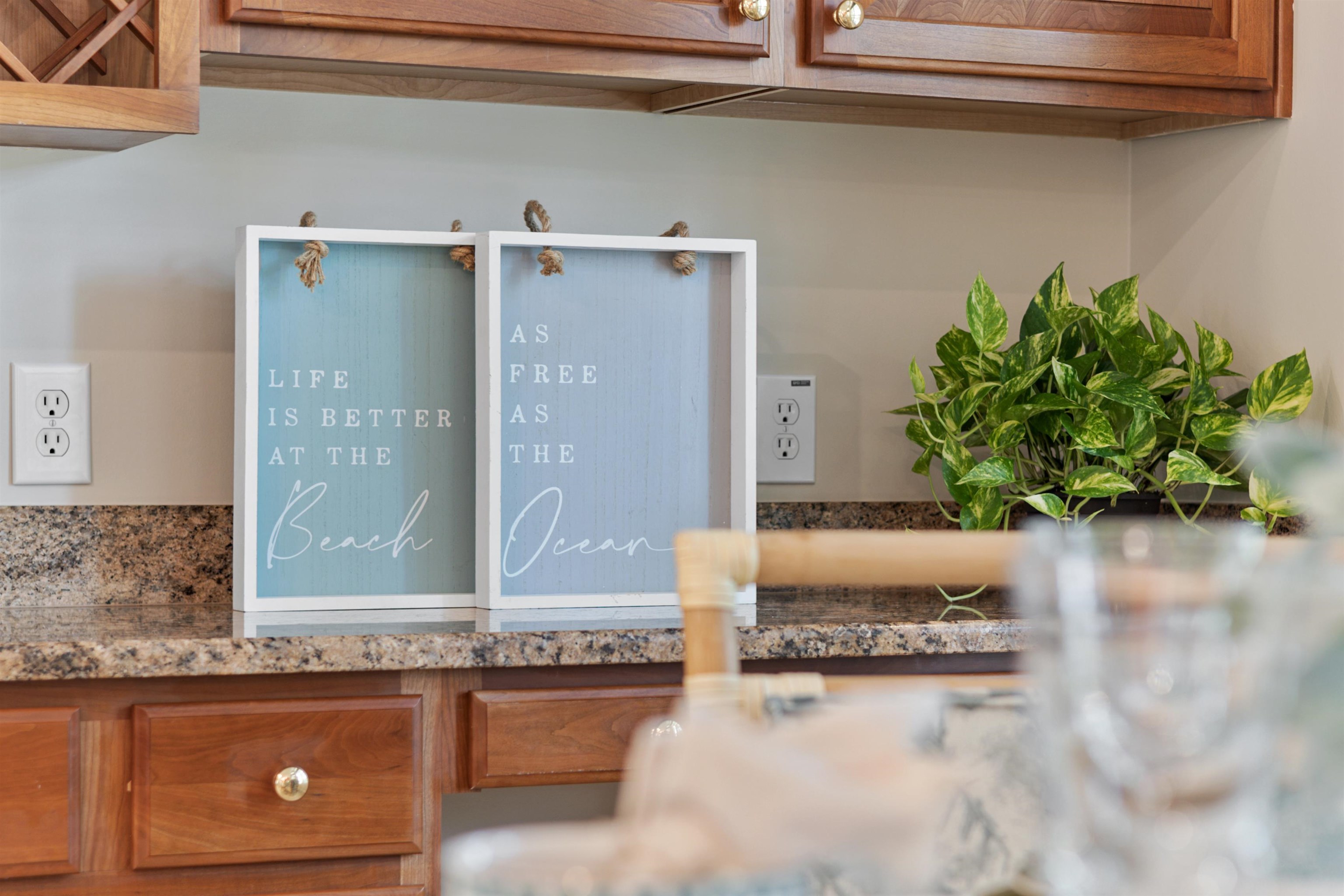 4538 Firethorne Drive Murrells Inlet, SC 29576 - Photo 29 of 96 Gallery Image 29