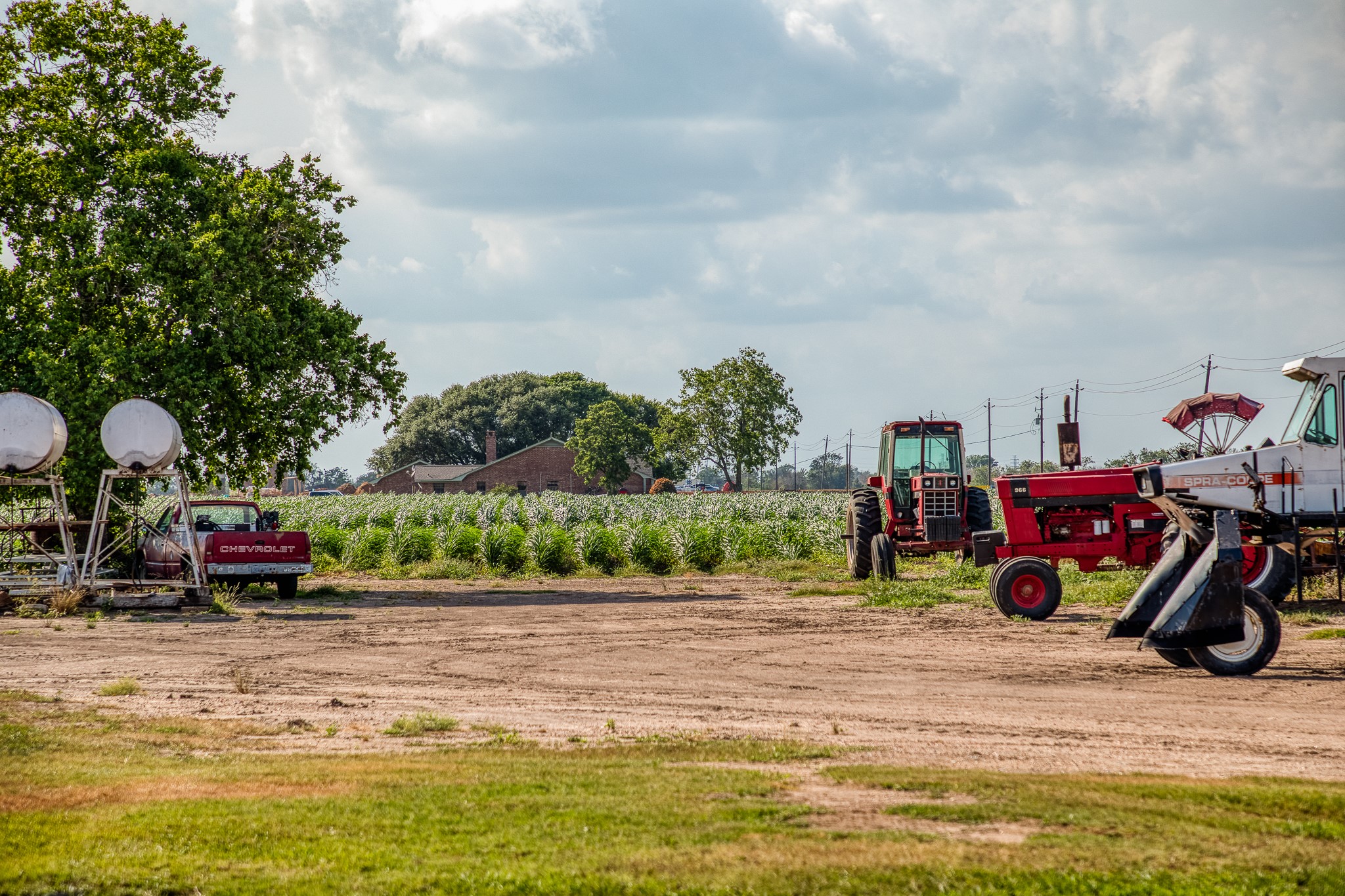 1923 Beasley West End Road Beasley, TX 77417 - Photo 12 of 12