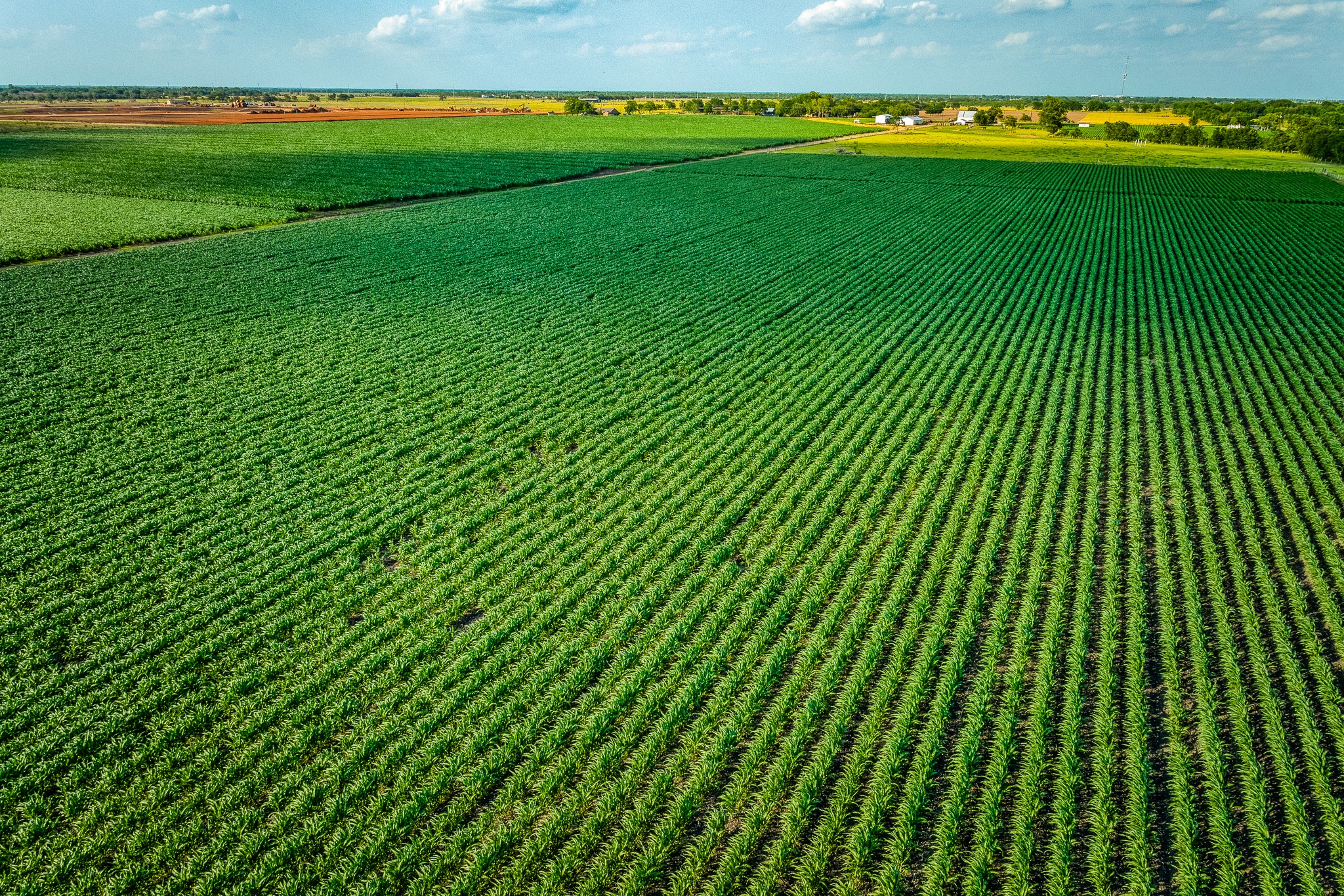 1923 Beasley West End Road Beasley, TX 77417 - Photo 4 of 12