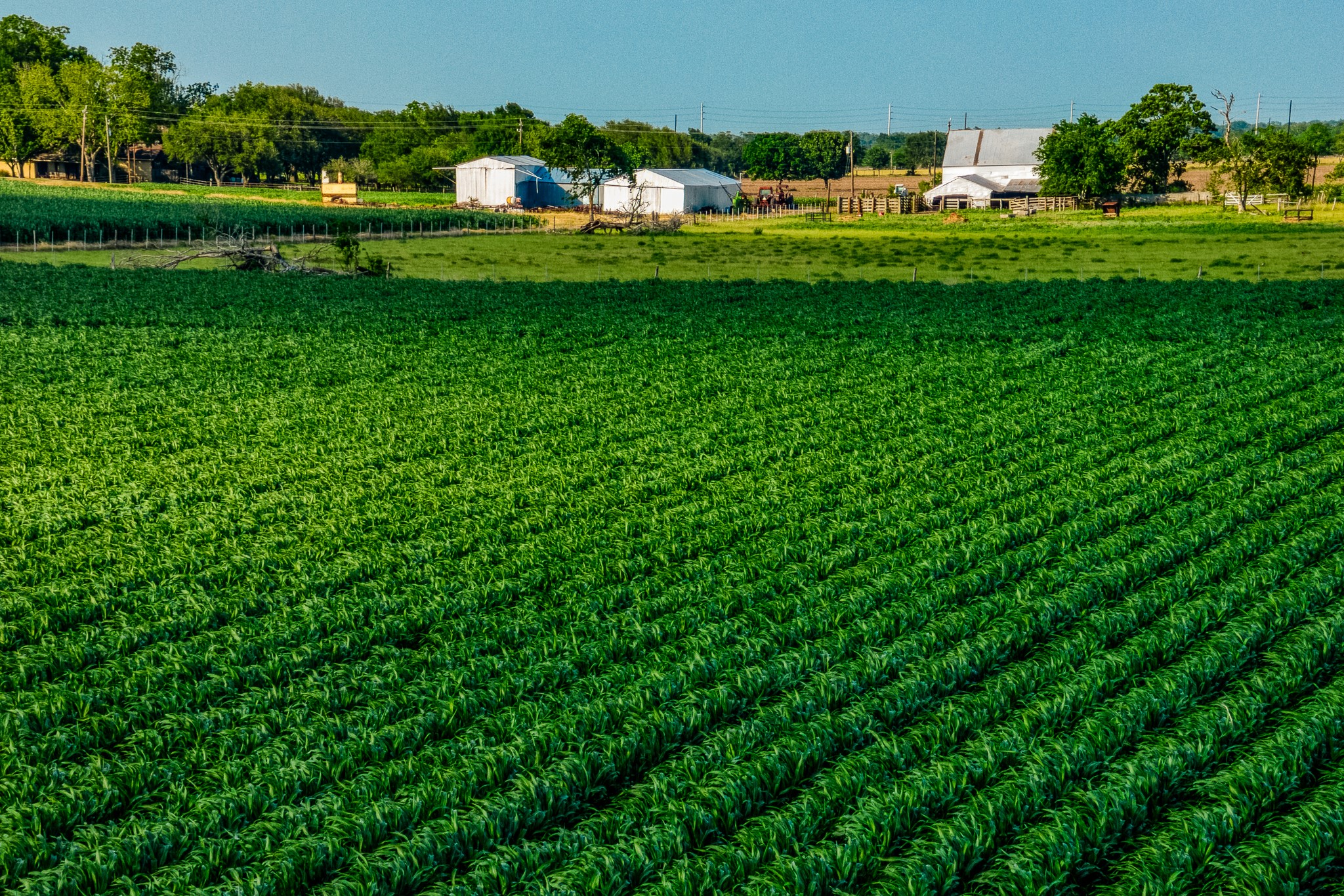 1923 Beasley West End Road Beasley, TX 77417 - Photo 5 of 12