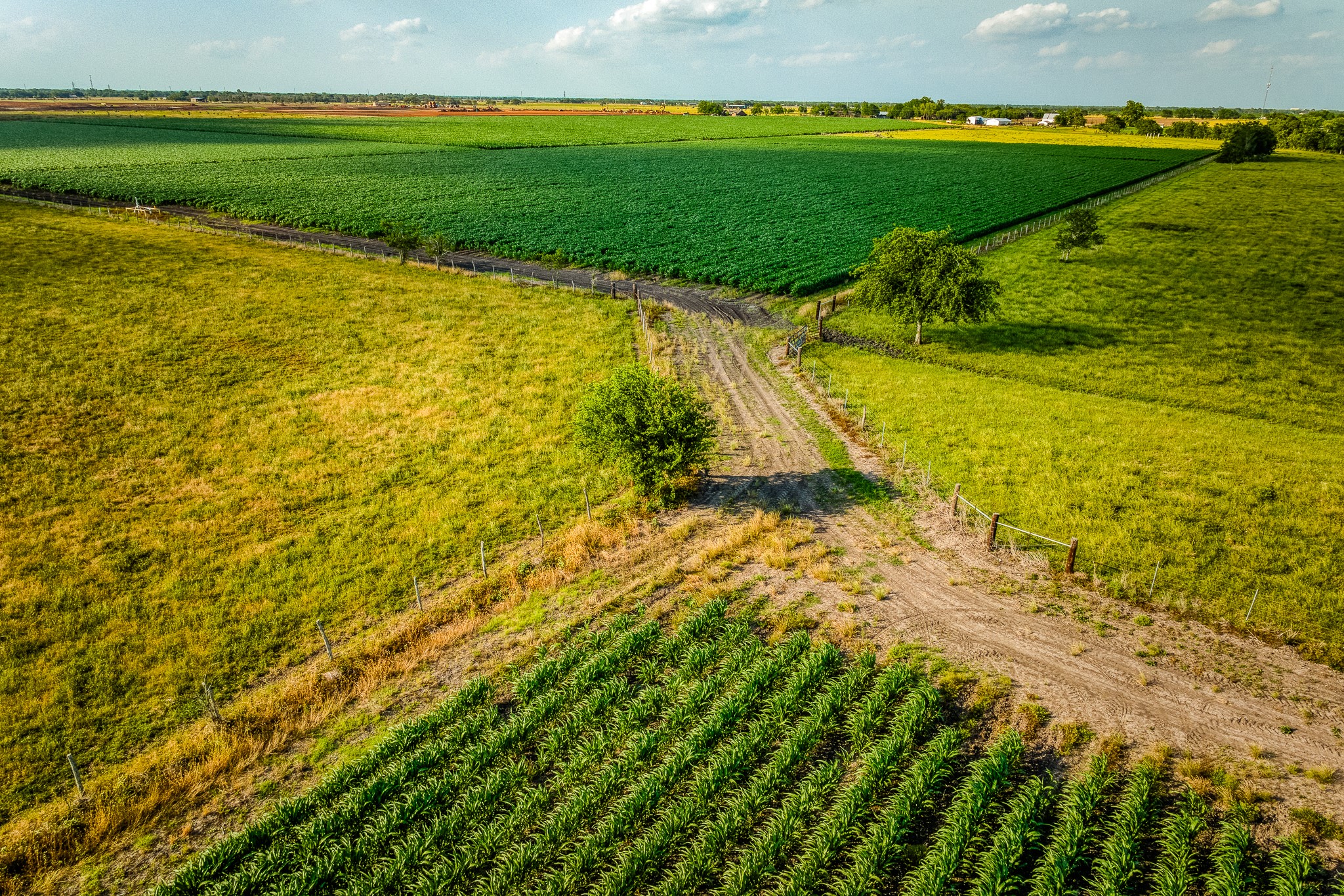 1923 Beasley West End Road Beasley, TX 77417 - Photo 6 of 12