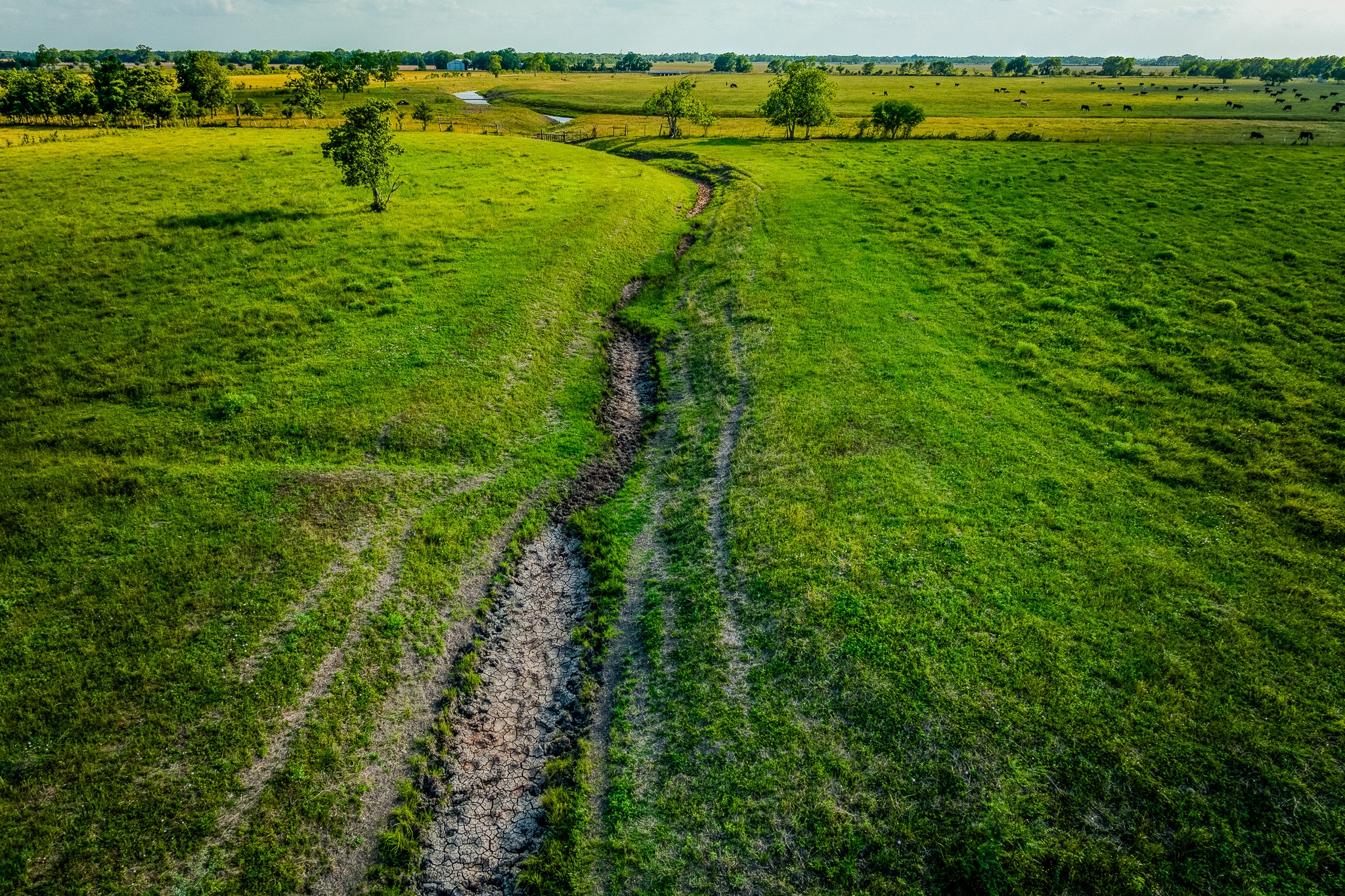 1923 Beasley West End Road Beasley, TX 77417 - Photo 7 of 12