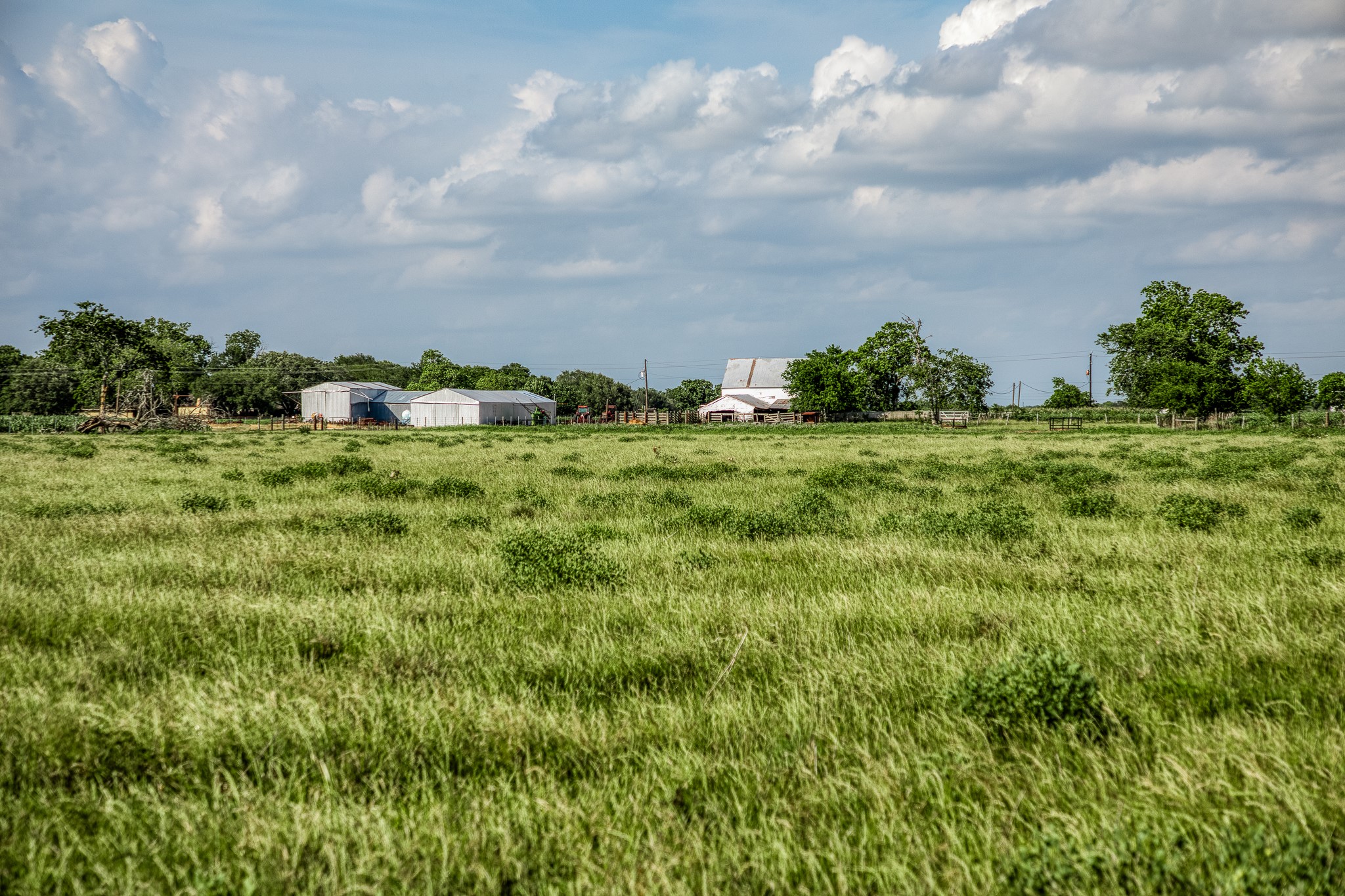 1923 Beasley West End Road Beasley, TX 77417 - Photo 10 of 12
