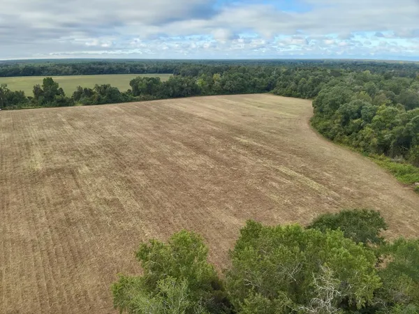 $195,000 | 49-acres Mt Zion Road, Gordon, AL 36343
