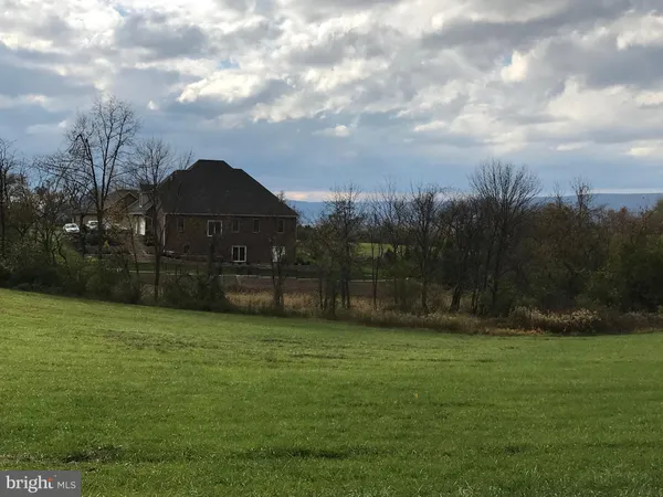 a view of a garden