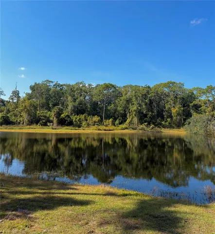 a close up of a plant