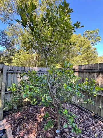 a view of an outdoor space