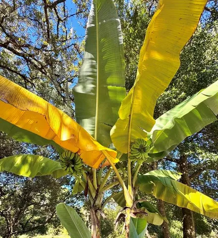 $539,900 | 153 Duncan Trail, Longwood, FL 32779