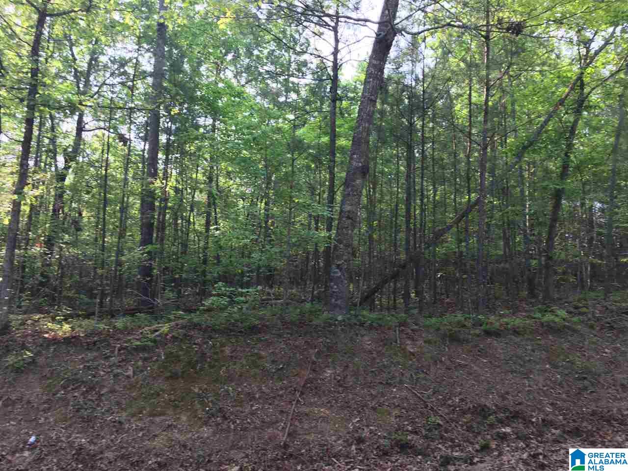 0 Lakeview Canyon Road, Unit 2 7 Ashville, AL 35953 - Photo 2 of 5