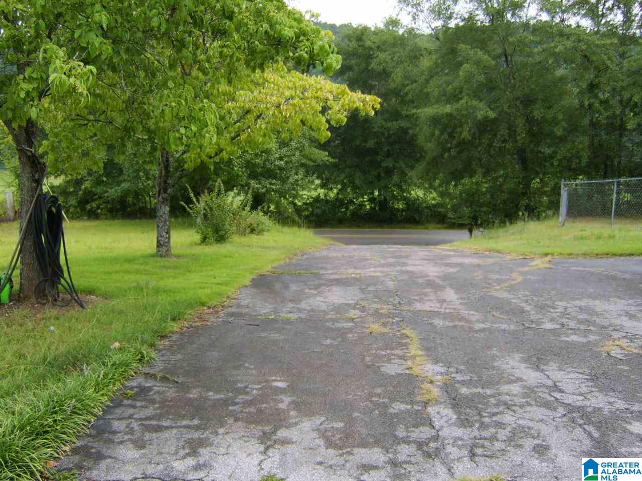 373 Spring Road Ohatchee, AL 36271 - Photo 13 of 41