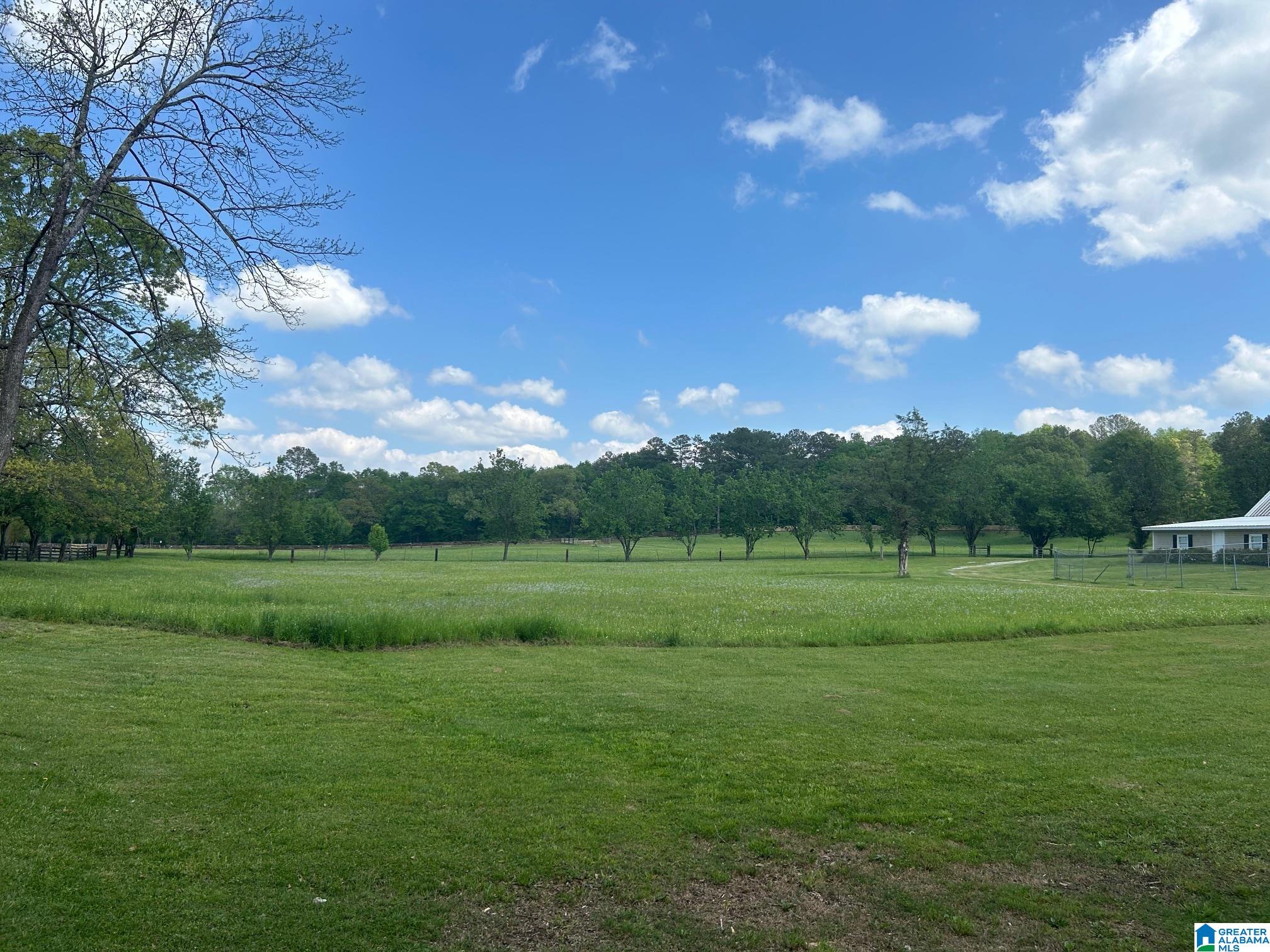 10415 Lowimoore Road Alexandria, AL 36250 - Photo 68 of 90