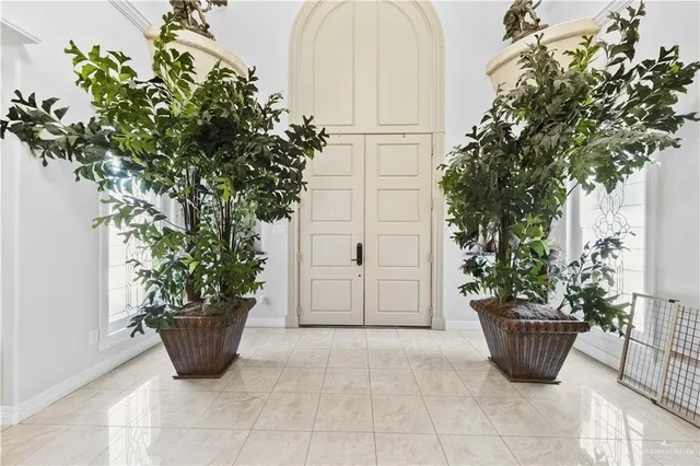 a view of a entryway with potted plants