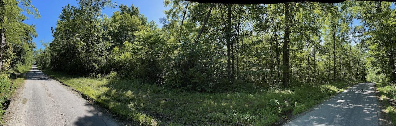 0 East Edgington Road South Salem, OH 45681 - Photo 7 of 9 Panorama North to South