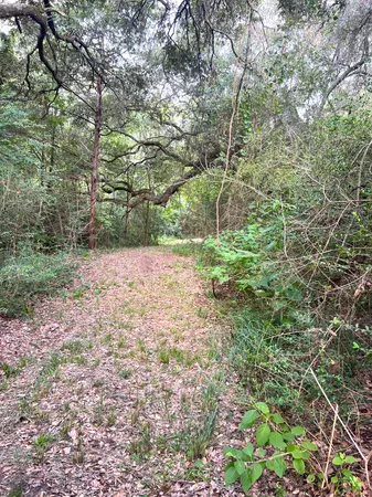 $2,592,000 | 217 County Road 217, Weimar, TX 78962